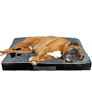 Köpek Yatağı