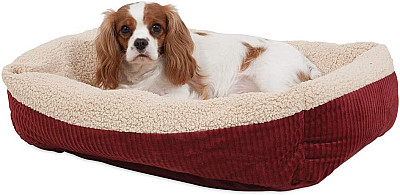 Köpek Yatağı