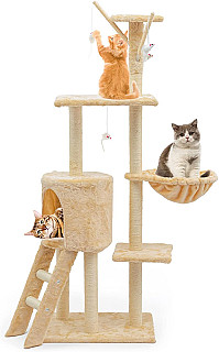 Cat Scratcher & Bed