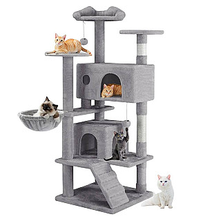 Cat Scratcher & Bed