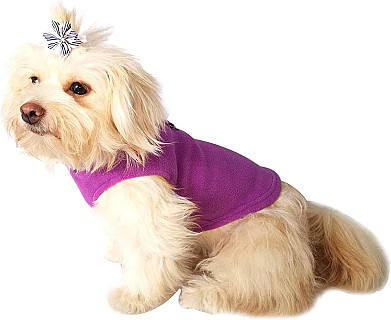 Köpek Giysileri