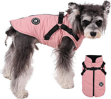Köpek Ceketi
