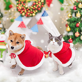Christmas Clothes