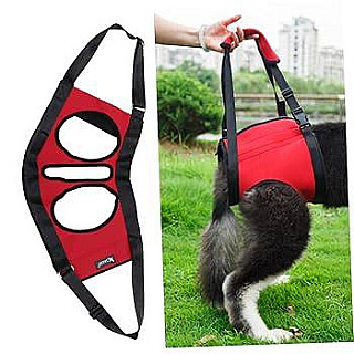 Arka Bacak Köpek Desteği