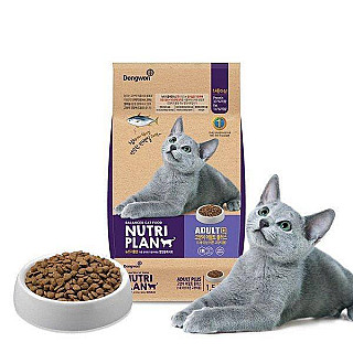 NutriPlan ماسی گەورەساڵ