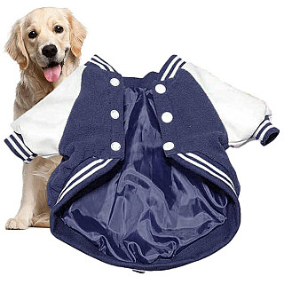 Köpek Ceketi