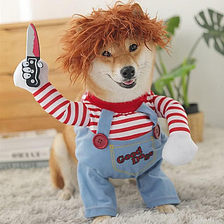 Halloween Pet Clothe