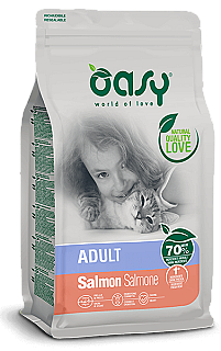 Oasy سەلەمۆن