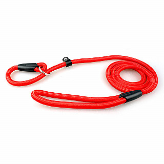 Leash