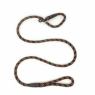Leash