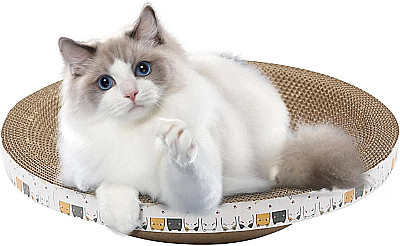 Cat Scratching Board