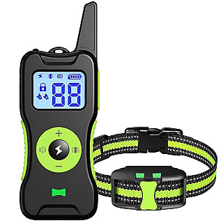 Köpek Eğitim Tasması