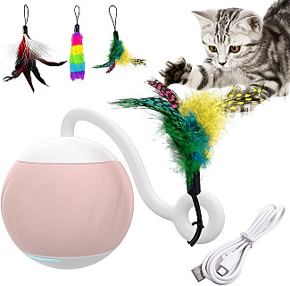 لعبة كرة القطة