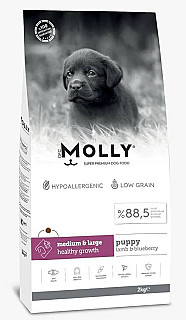 Molly بەرخ و بلوبێری سەگی بچووک
