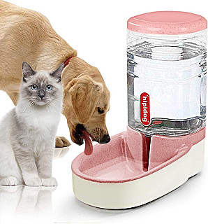 Water Dispenser