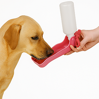 Water Bottle