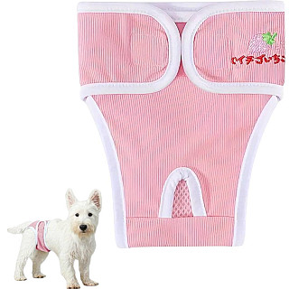 Dog Diaper