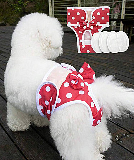 Dog Diaper
