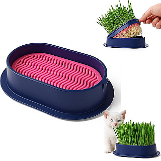Pet Grass Growing Kit