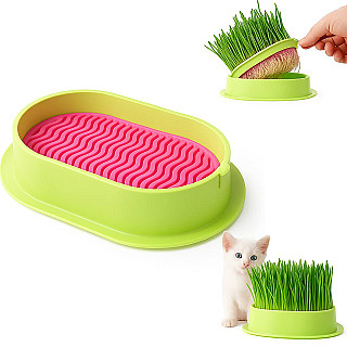 Pet Grass Growing Kit