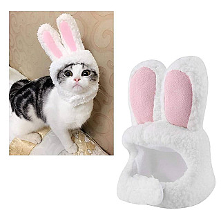Cat Hat