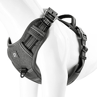 Dog Harness