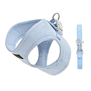 Harness & Leash