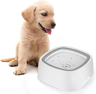Non-Spill Water Bowl