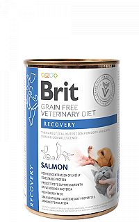 Brit Recovery – Salmon