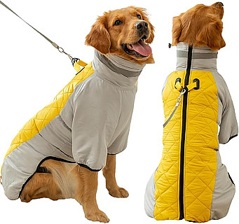 Winter Jacket