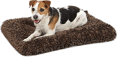 Köpek Yatağı