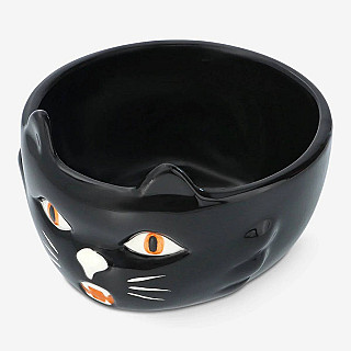 Cat Food Bowl