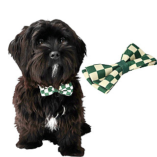 Dog Bow Tie