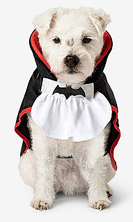 Halloween Clothes