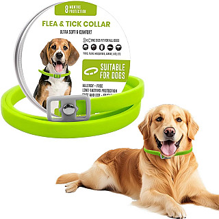 کۆلاری دژە  مێرولە و ئەسپێ