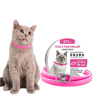 کولار مضاد البراغيث والقراد