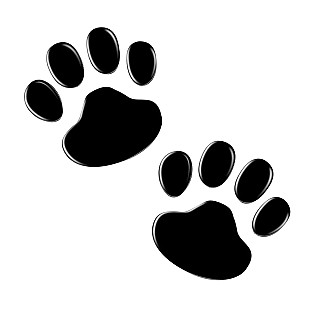 Paw Sticker