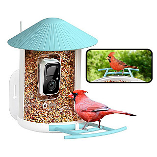 Smart Bird Feeder