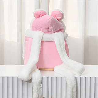 Kedi Taşıma Çantası