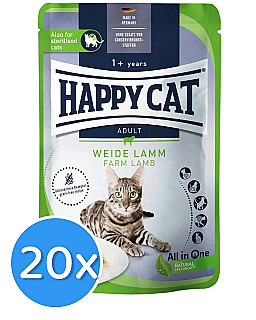 Happy Cat بەرخی بەخێوکراو