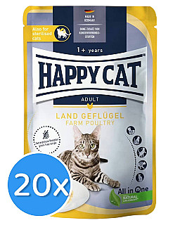 Happy Cat مریشک