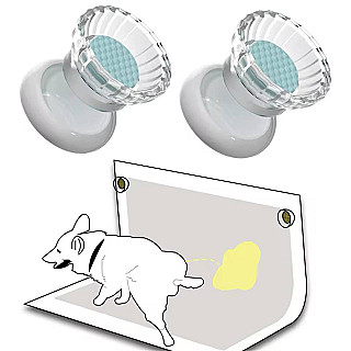 ڕاگری موگناتیسی