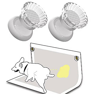 ڕاگری موگناتیسی