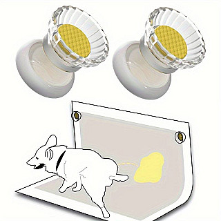 ڕاگری موگناتیسی