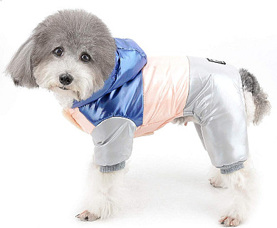 Köpek Ceketi