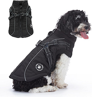 Dog Jacket