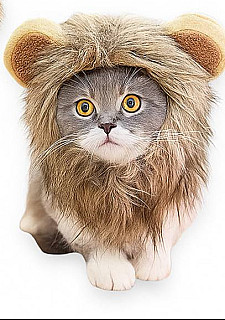 Pet Head Cover