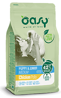 Oasy Yavru ve Genç Tavuk