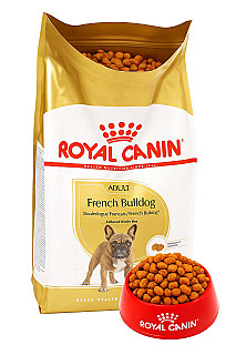 Royal canin French Bulldog Adult