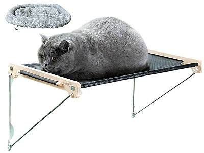 هموک پنجره‌ای گربه